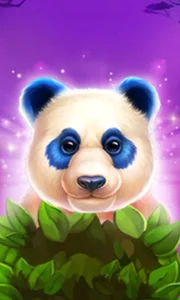 Luck of Panda: Bonus Combo
